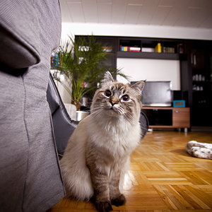 Mabel... unschuldig wie eh und jeh