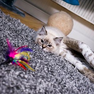 528043 377296332307954 1625719406 n