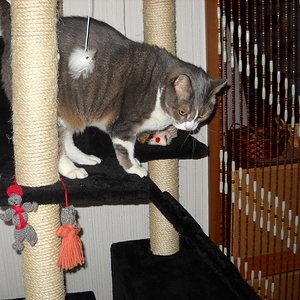 ach, oben ists zu öde