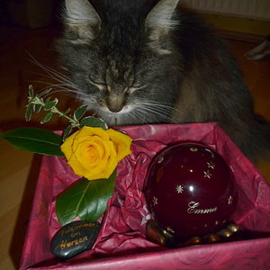 Suse und der Abschied an Emma's Urne