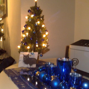 Weihnachten 2013 004