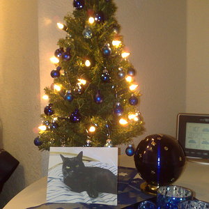 Weihnachten 2013 005