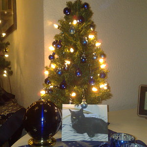 Weihnachten 2013 008