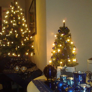 Weihnachten 2013 030