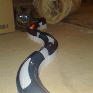 Maya und Thommy bis 30.Dez.2013 005