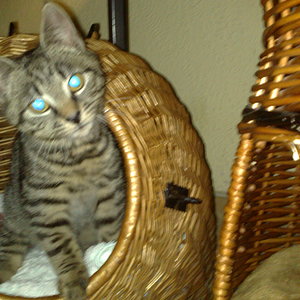 Maya und Thommy bis 30.Dez.2013 009