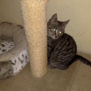 Maya und Thommy bis 30.Dez.2013 012