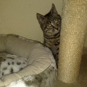 Maya und Thommy bis 30.Dez.2013 016