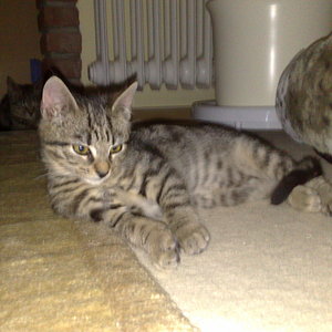 Maya und Thommy bis 30.Dez.2013 029