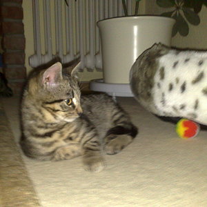 Maya und Thommy bis 30.Dez.2013 030