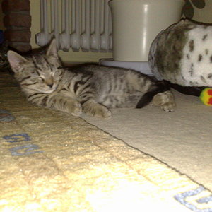 Maya und Thommy bis 30.12..2013 026