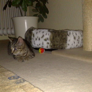 Maya und Thommy bis 30.Dez.2013 025