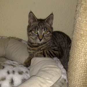 Maya und Thommy bis 30.Dez.2013 017