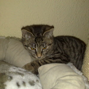 Maya und Thommy bis 30.Dez.2013 020