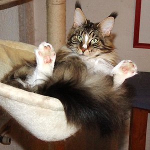 Fünferl ziemlich relaxt