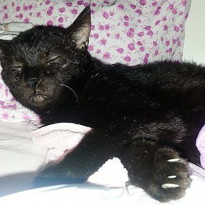 Mein Prinz sooooooooooooooo müde :-)