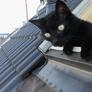 Mal schauen was draußen los ist, mama hält mich schon fest :-)