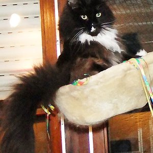 Lucky spielt wieder mit Gott sei Dank