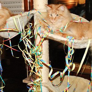 Leo und Scotty die beiden Brüder