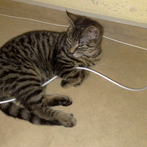 Maya und Thommy bis 09.01.2014 015