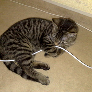 Maya und Thommy bis 09.01.2014 014