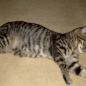 Maya und Thommy bis 09.01.2014 010