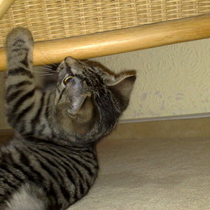 Maya und Thommy bis 09.01.2014 006