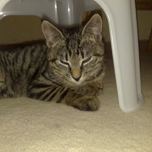 Maya und Thommy bis 09.01.2014 004