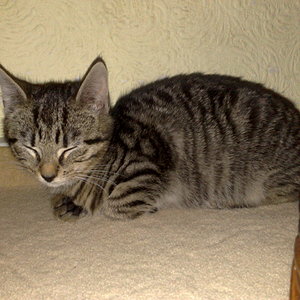 Maya und Thommy bis 09.01.2014 001