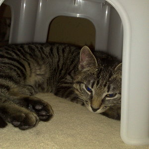 Kopie von Maya und Thommy bis 09.01.2014 003