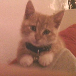 Das ist 4 Tage nachdem wir den Kleinen gefunden hatten.