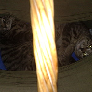 Kopie von Maya und Thommy bis 09.01.2014 020