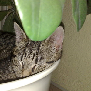 Maya und Thommy 10..01.2014 004