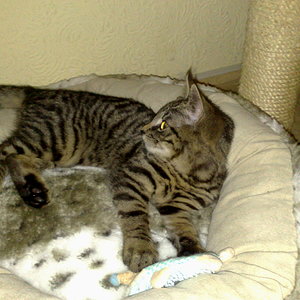 Maya und Thommy 10..01.2014 005