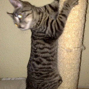 Maya und Thommy 10..01.2014 006