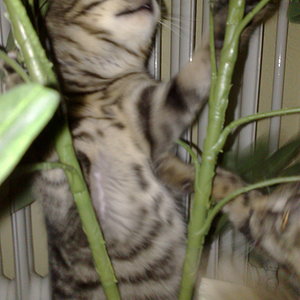 Maya und Thommy 10..01.2014 011