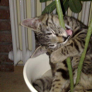 Maya und Thommy 10..01.2014 013