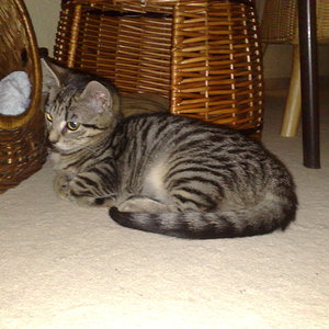 Maya und Thommy 10..01.2014 014