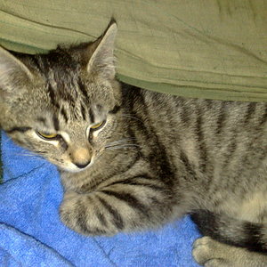 Maya und Thommy 10..01.2014 015