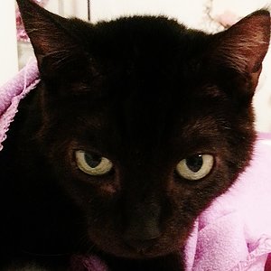 Mal den Blick aufsetzen :-)