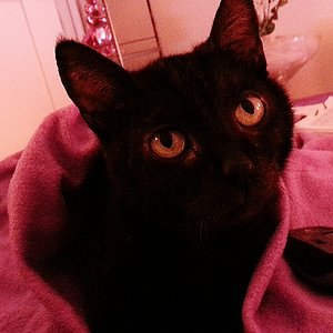 Ich liebe dich mein kleiner Prinz <3