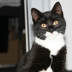 1011015 10202574460060377 640098221 n