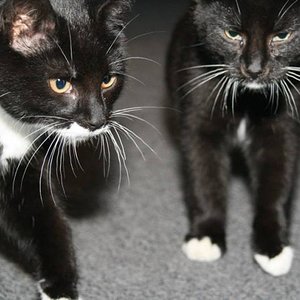 1522257 10202574460540389 1176544427 n