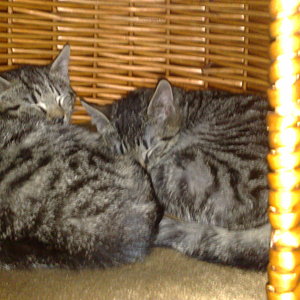 Maya und Thommy 10..01.2014 001