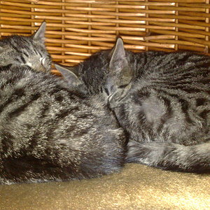 Maya und Thommy 10..01.2014 006