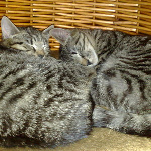 Maya und Thommy 10..01.2014 007