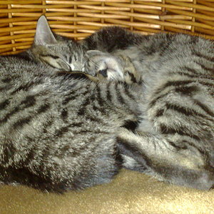 Maya und Thommy 10..01.2014 009