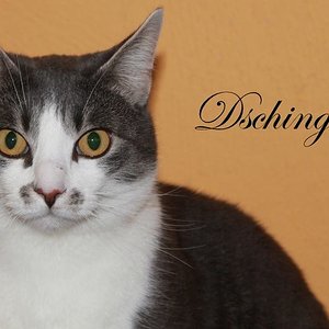 1234484 563893650326509 663987749 n