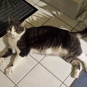 1528515 3780629570639 688522777 n