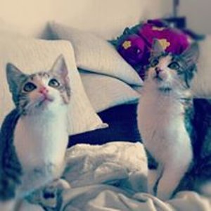 Maja und Findi als Baby :)